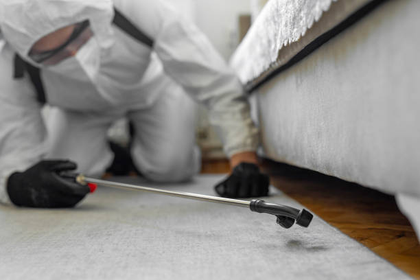 Professional Termite Control technician working in Mahnomen, MN