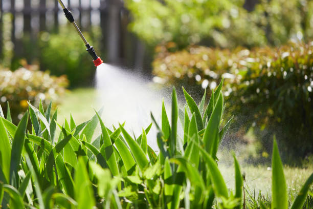 24/7 Emergency Termite Control experts in Mahnomen, MN