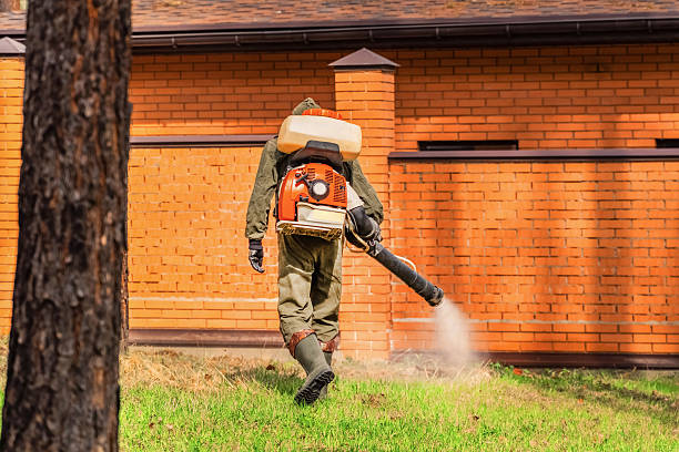 Top rated local Termite Control specialists in Mahnomen, MN